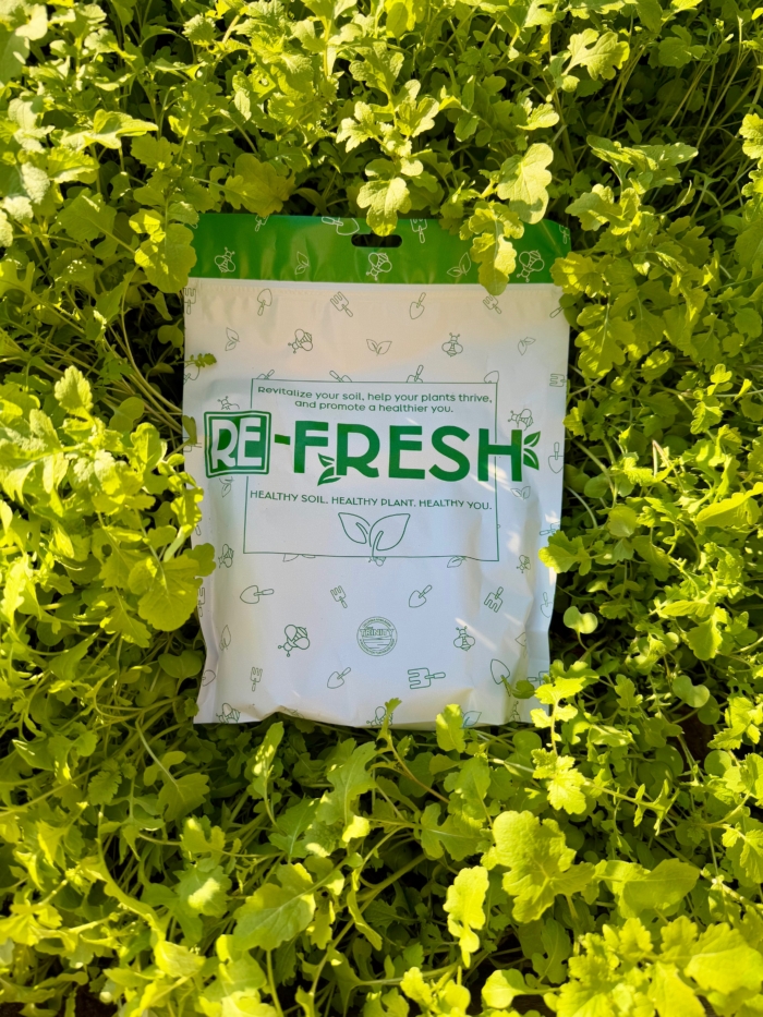 Re-Fresh